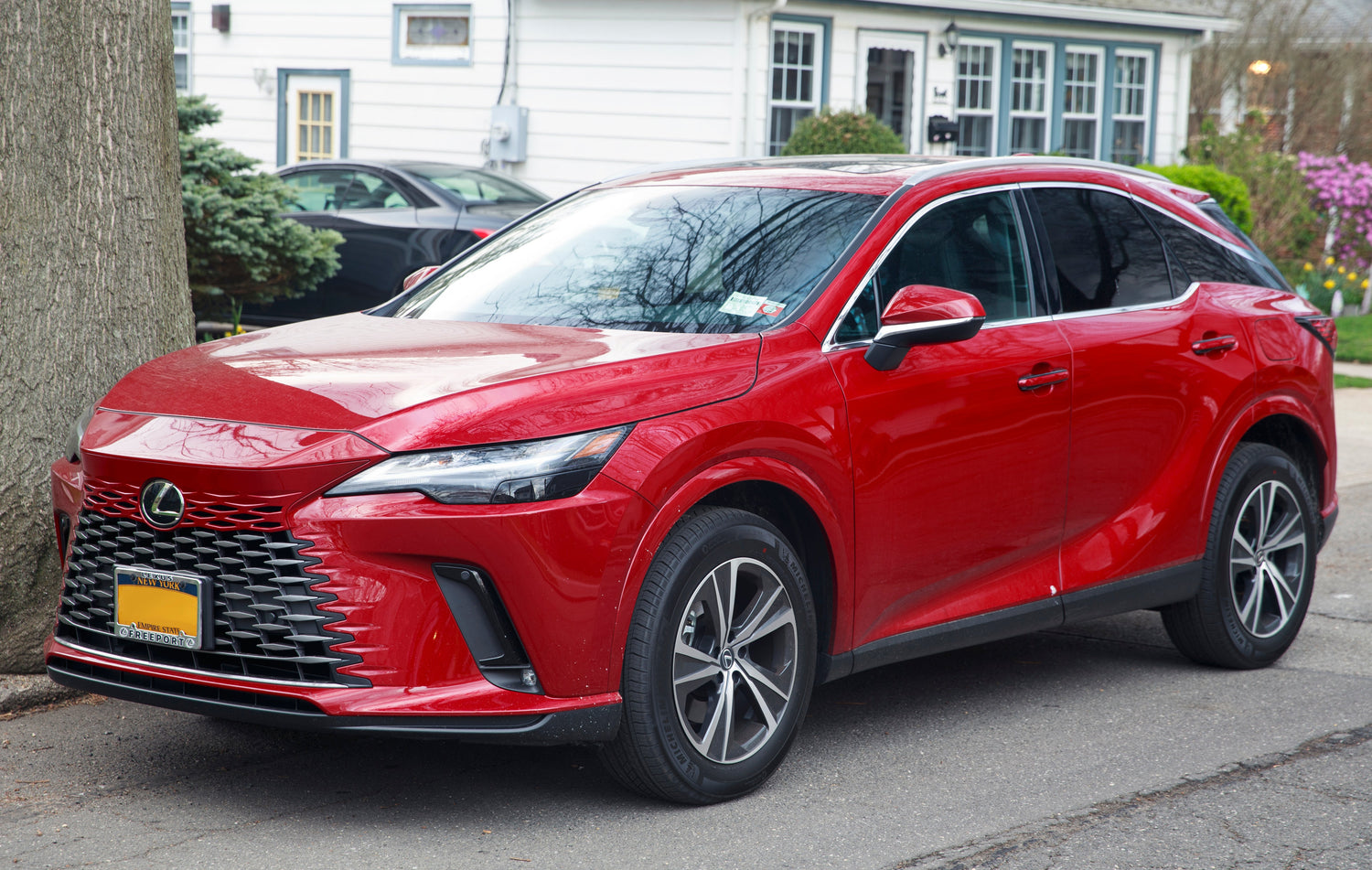 Lexus RX Series